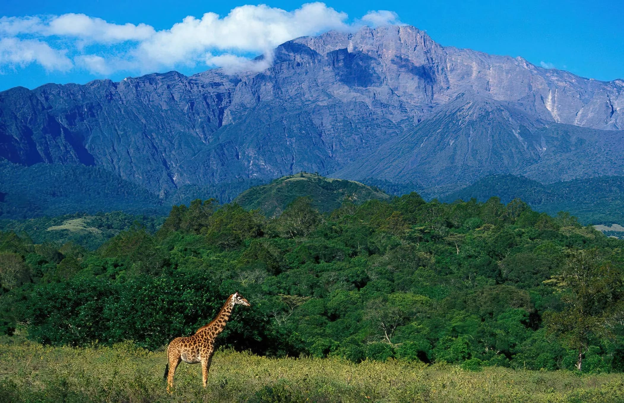 Mount Meru photo 2