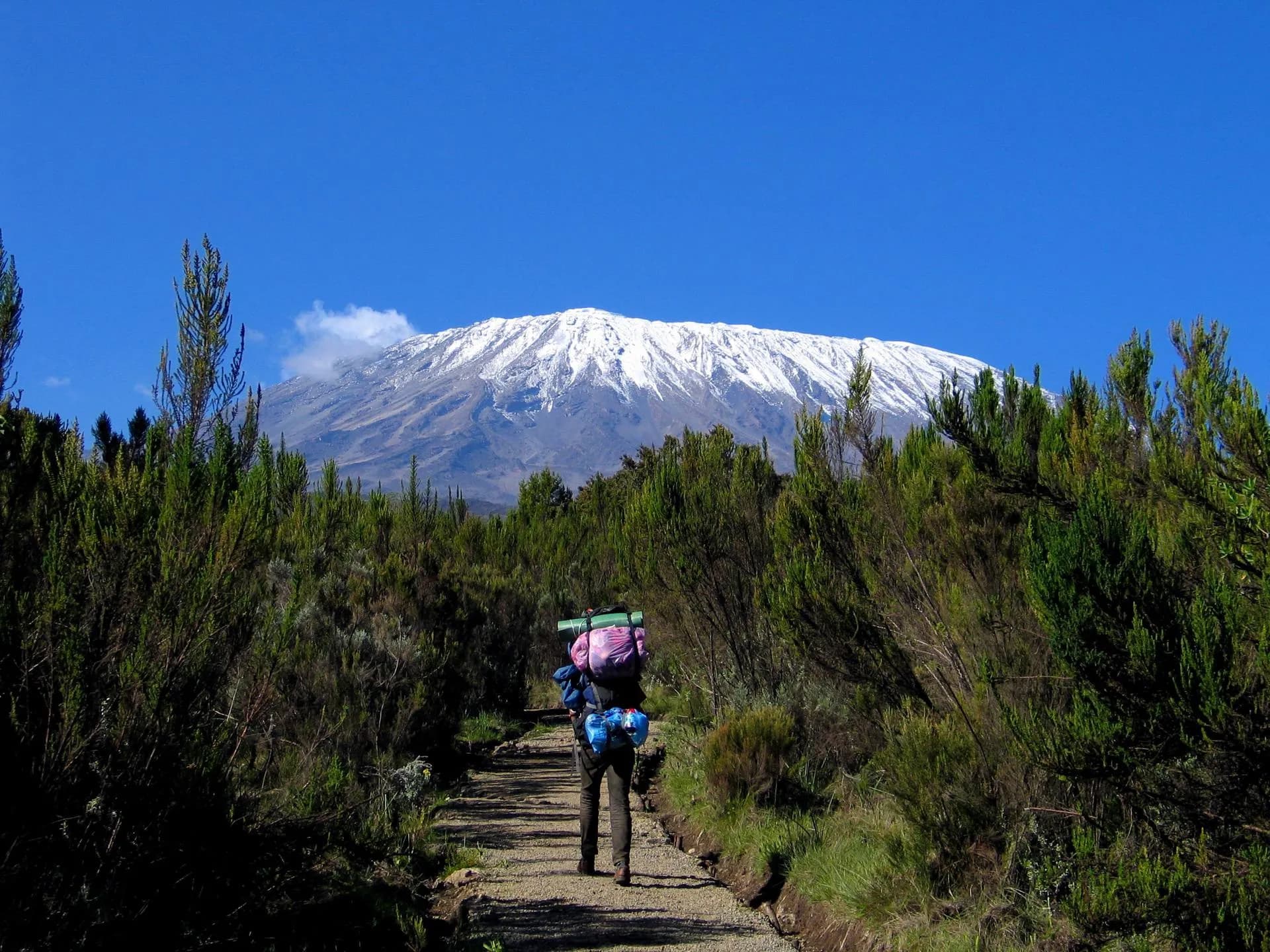 Rongai Route
