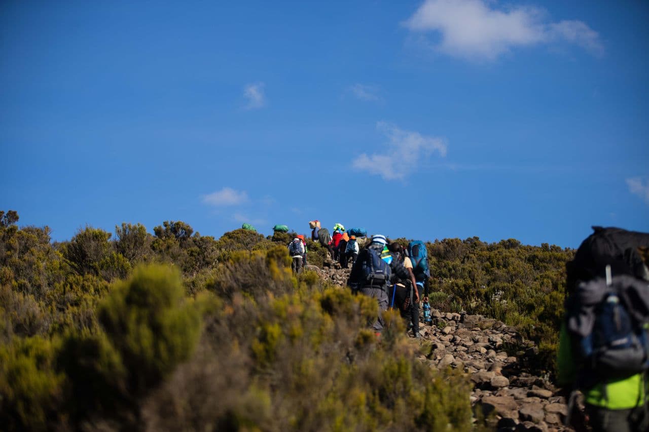 Lemosho Route