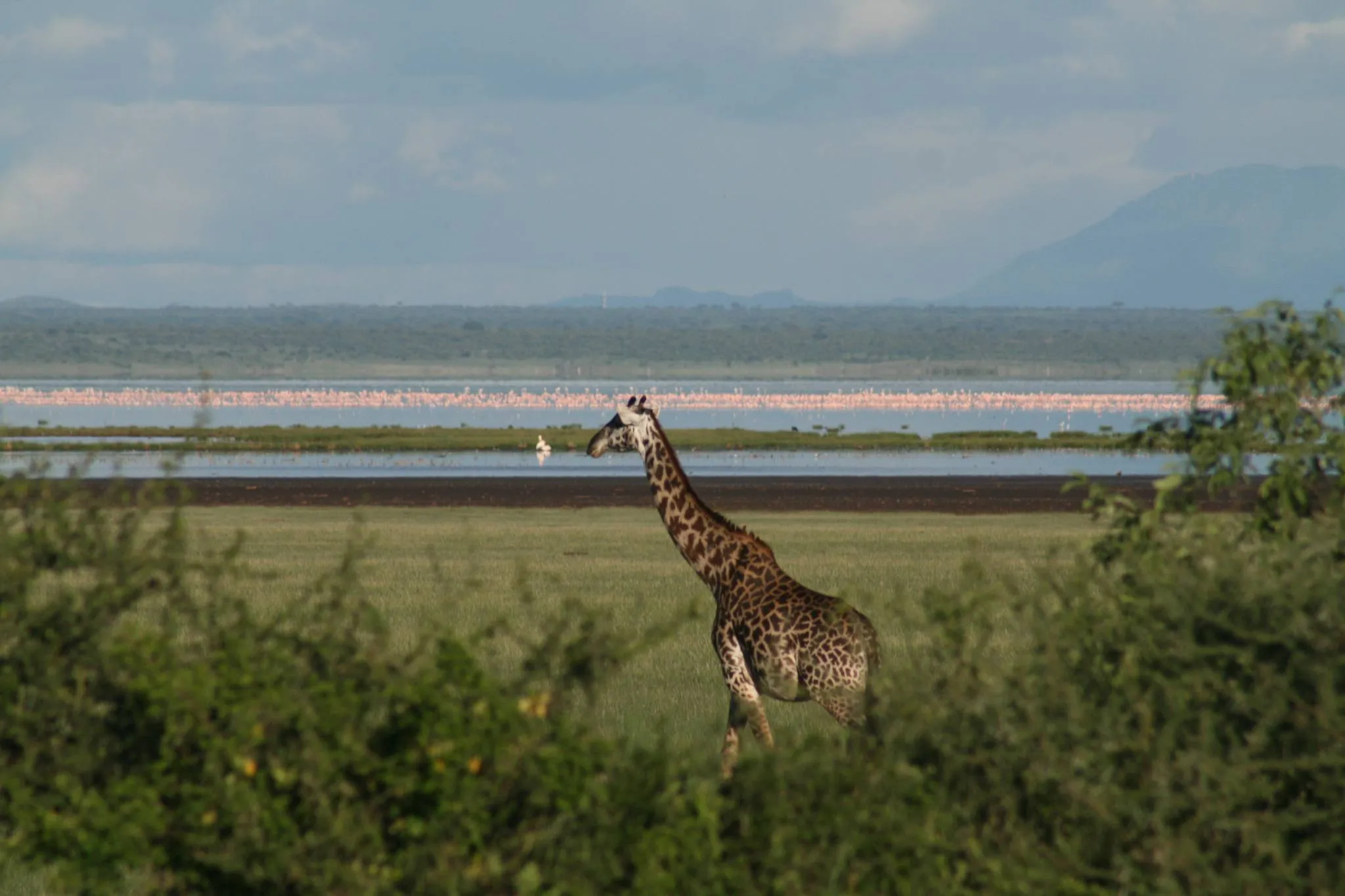 Lake Manyara National Park photo 1