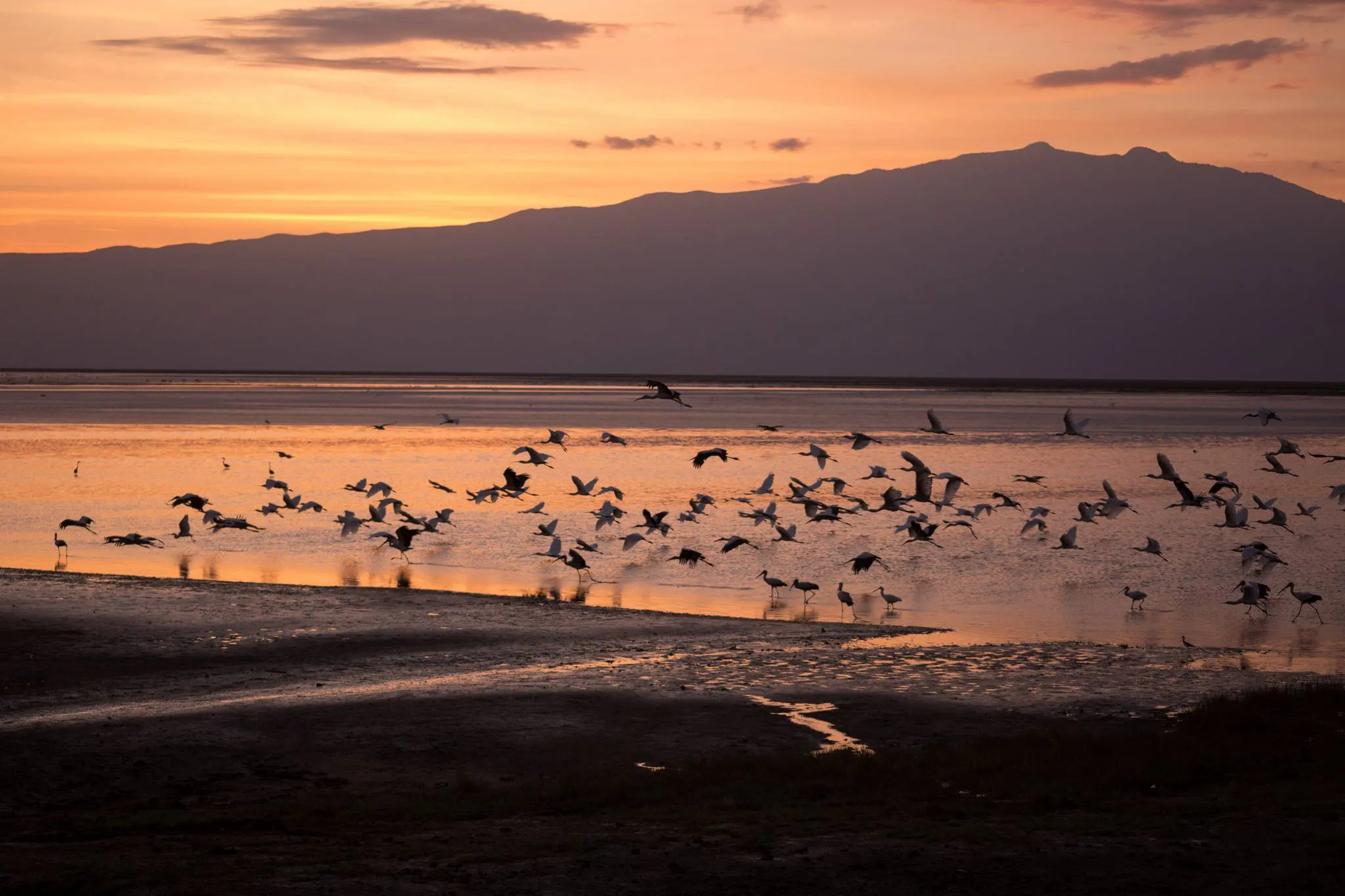 Lake Natron scenic view