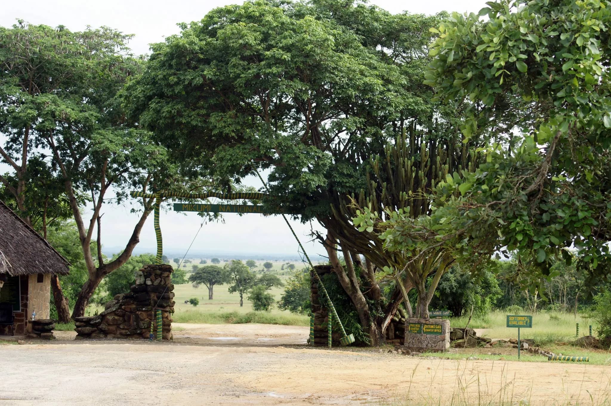 Mikumi National Park photo 2