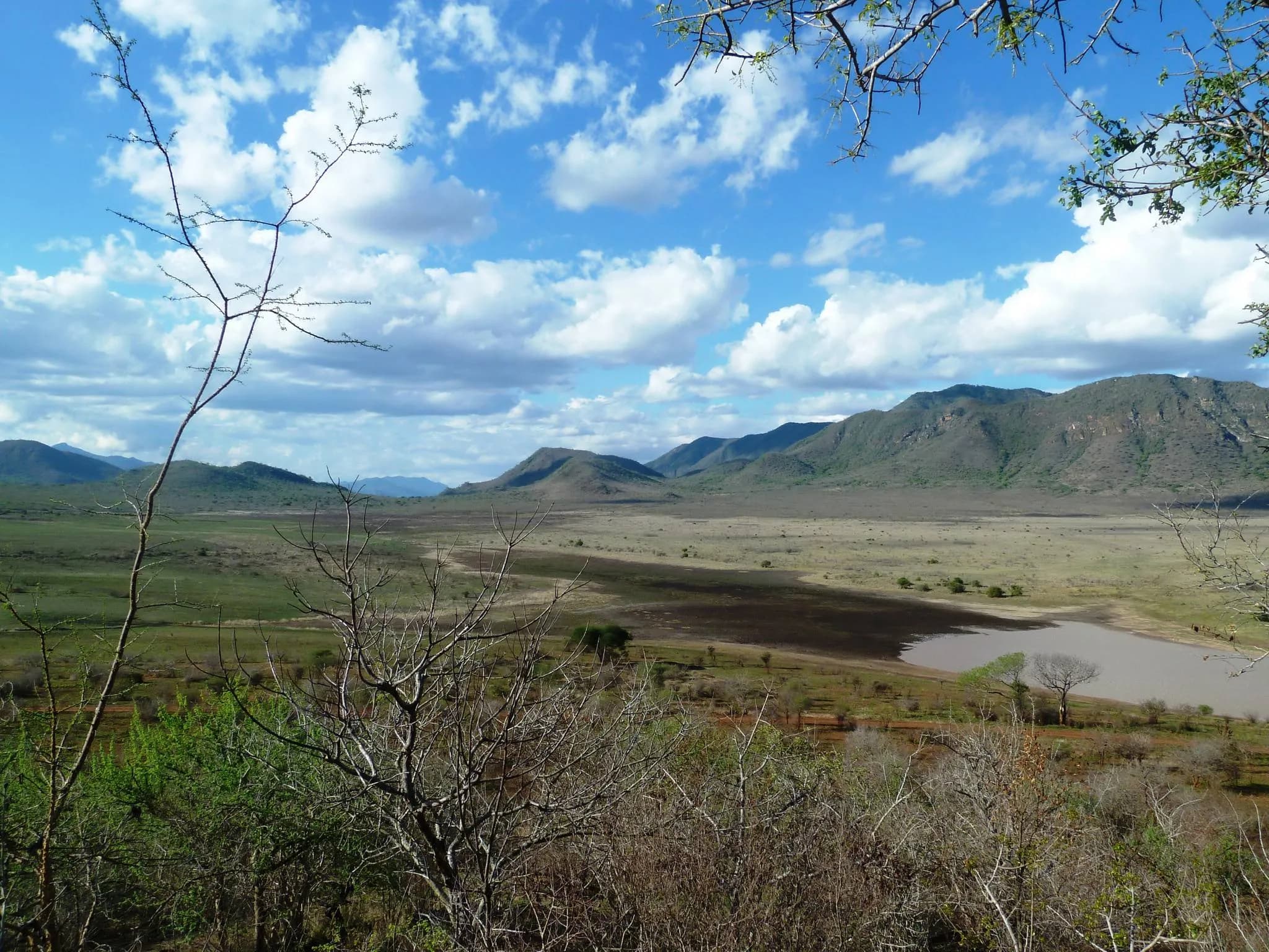 Mkomazi National Park scenic view