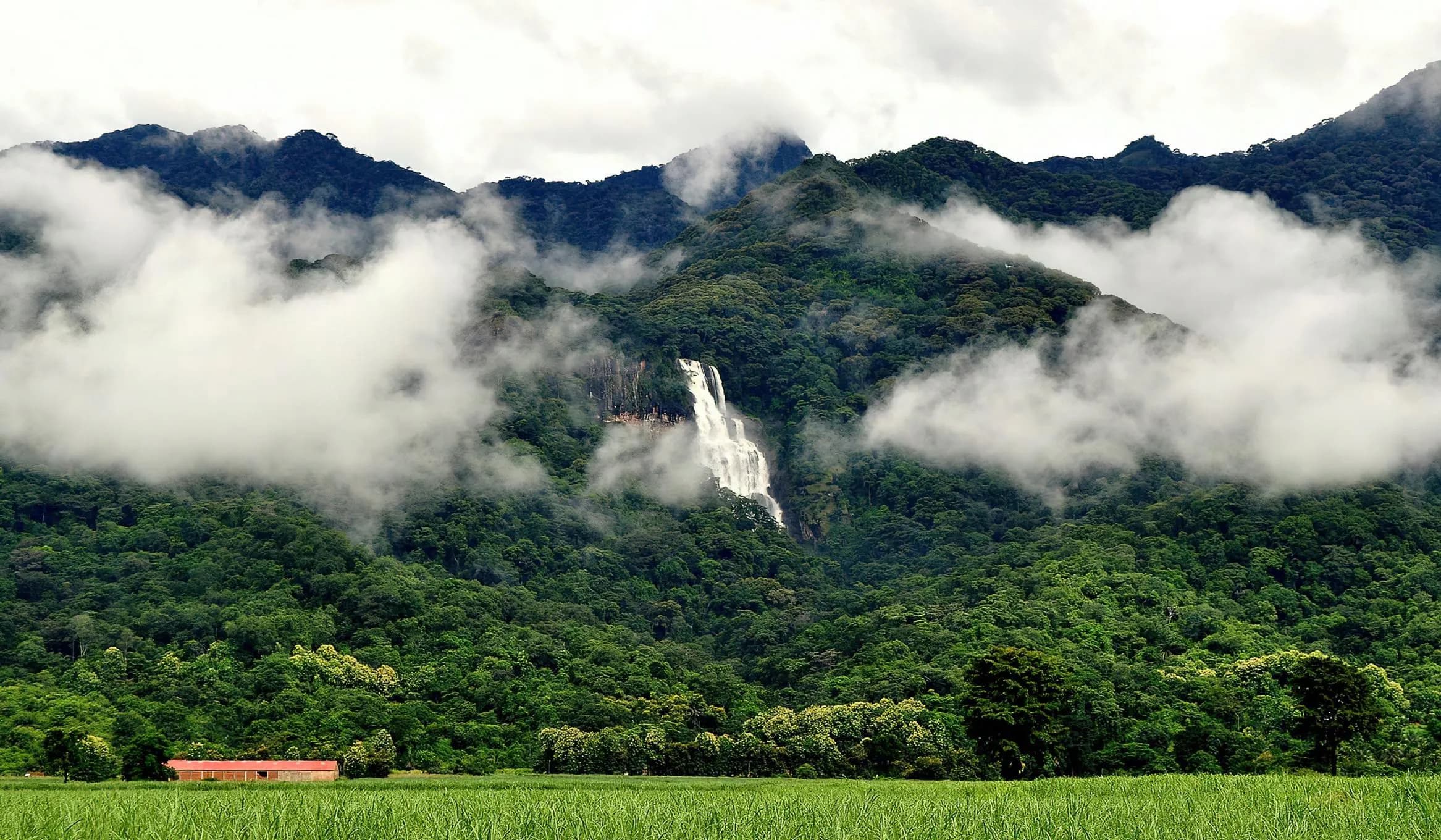 Udzungwa Mountains National Park scenic view
