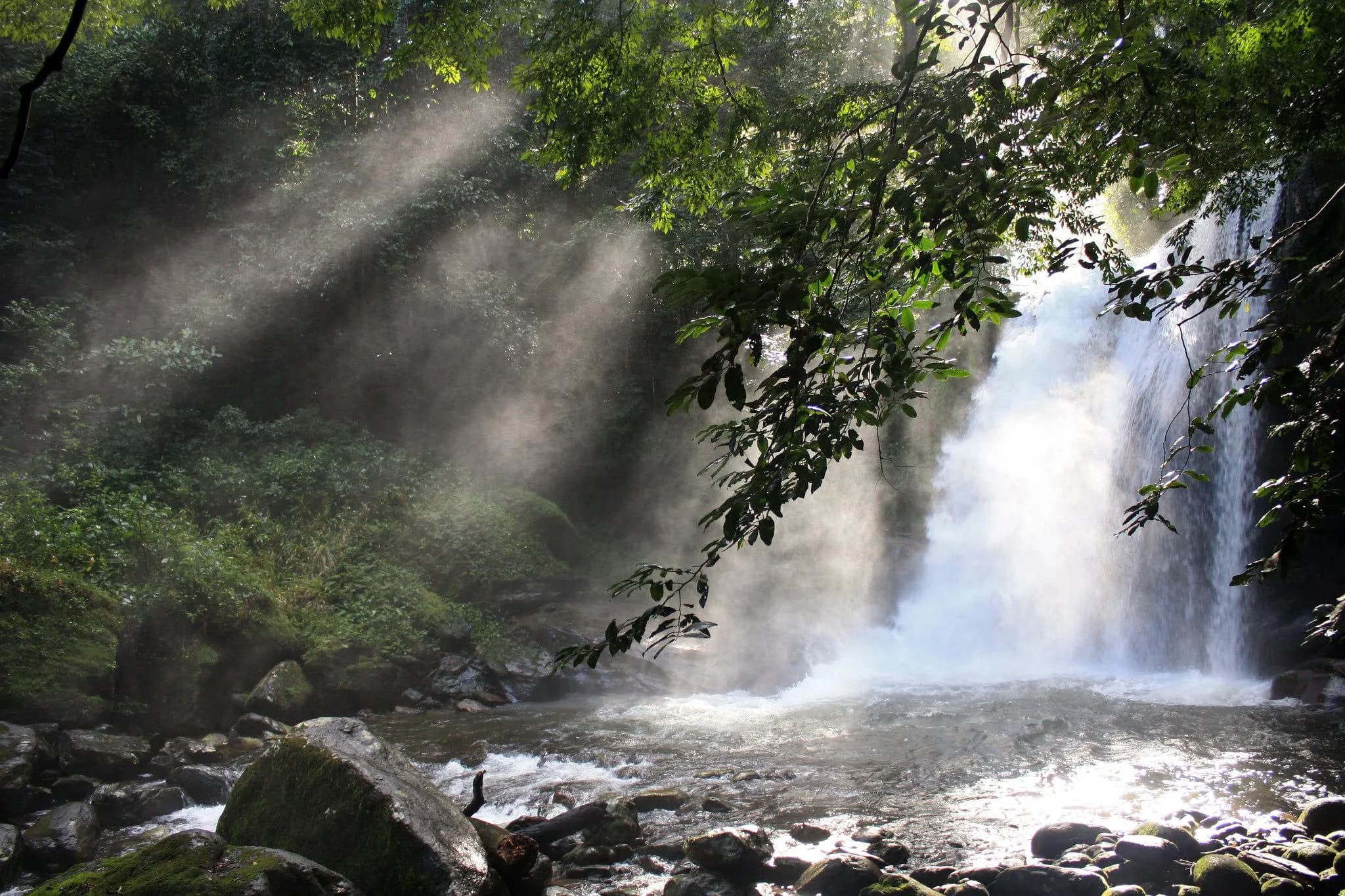 Udzungwa Mountains National Park photo 1