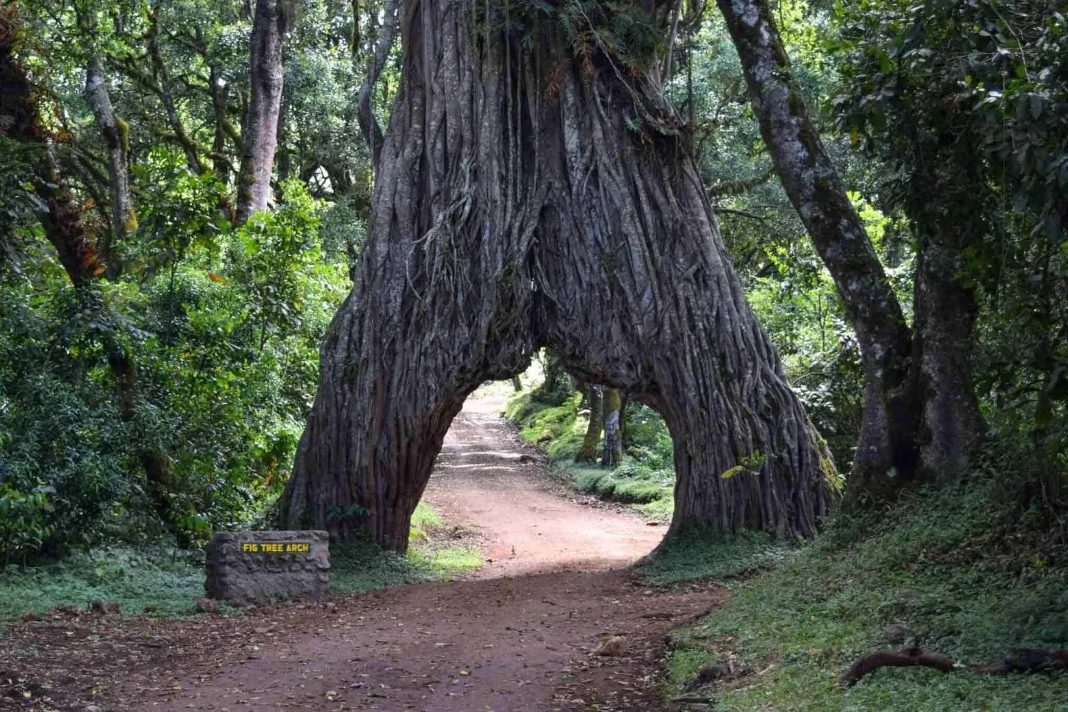 Arusha National Park photo 1