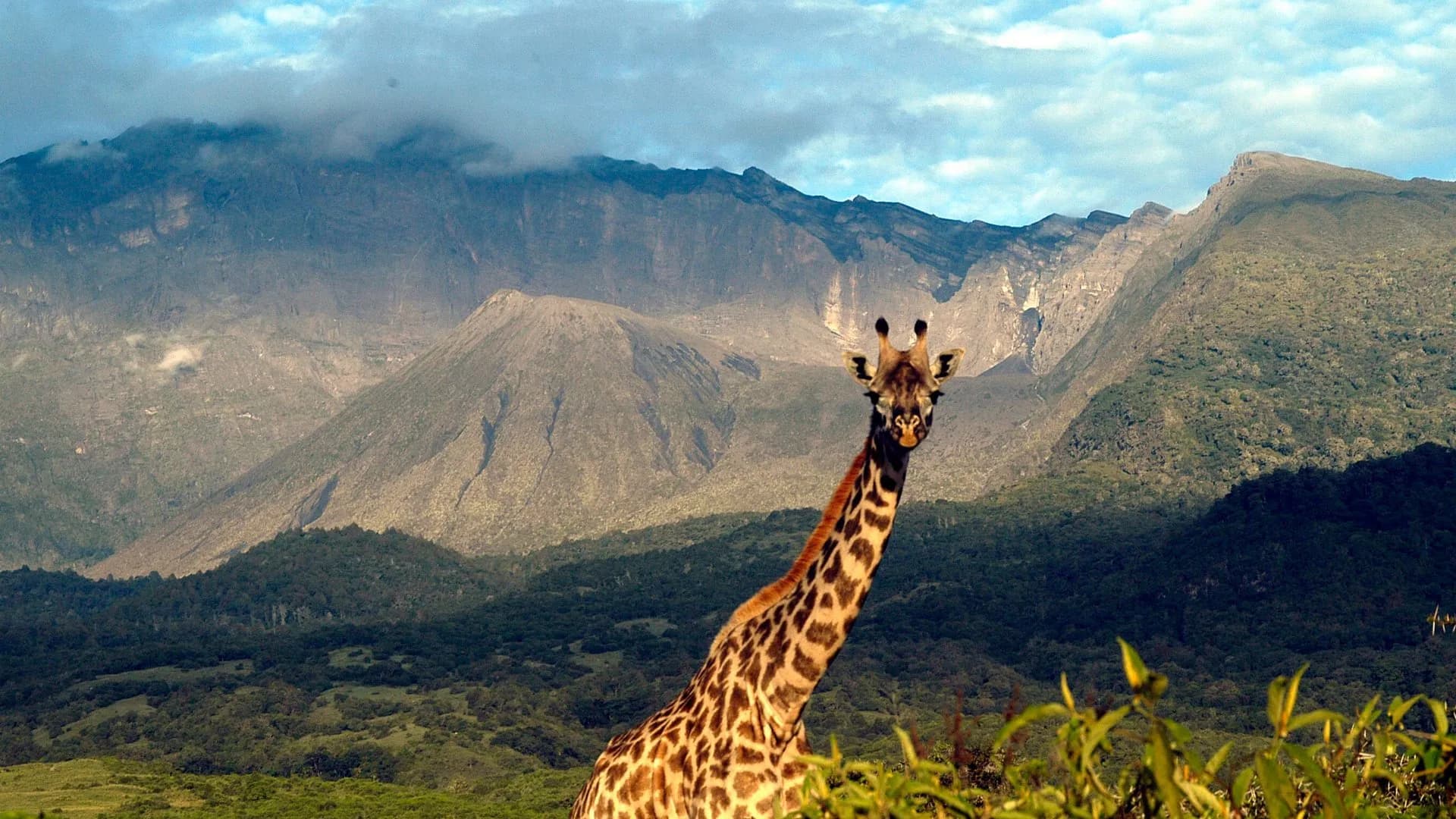 Arusha National Park scenic view