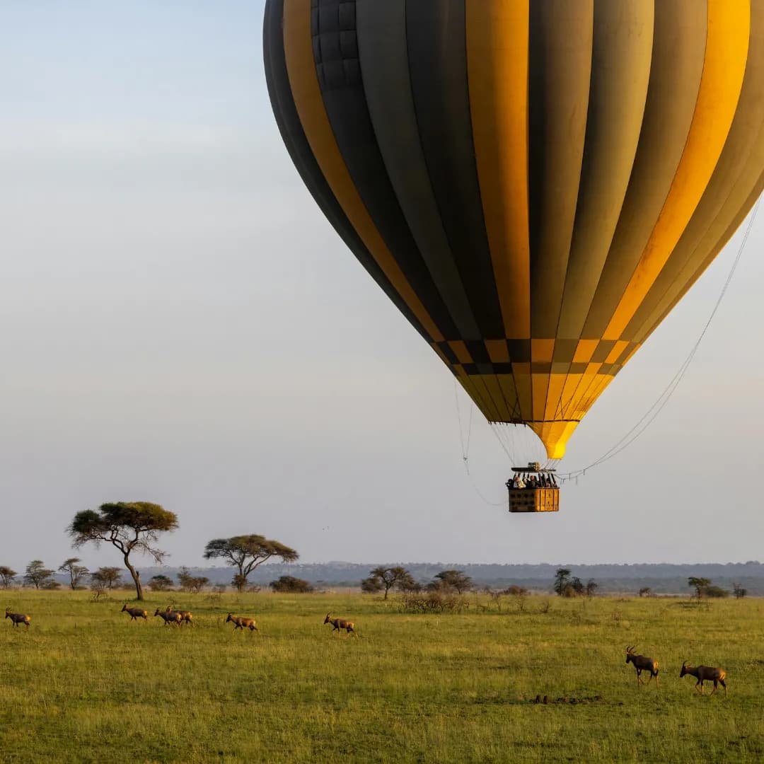 Experience Serengeti from Above