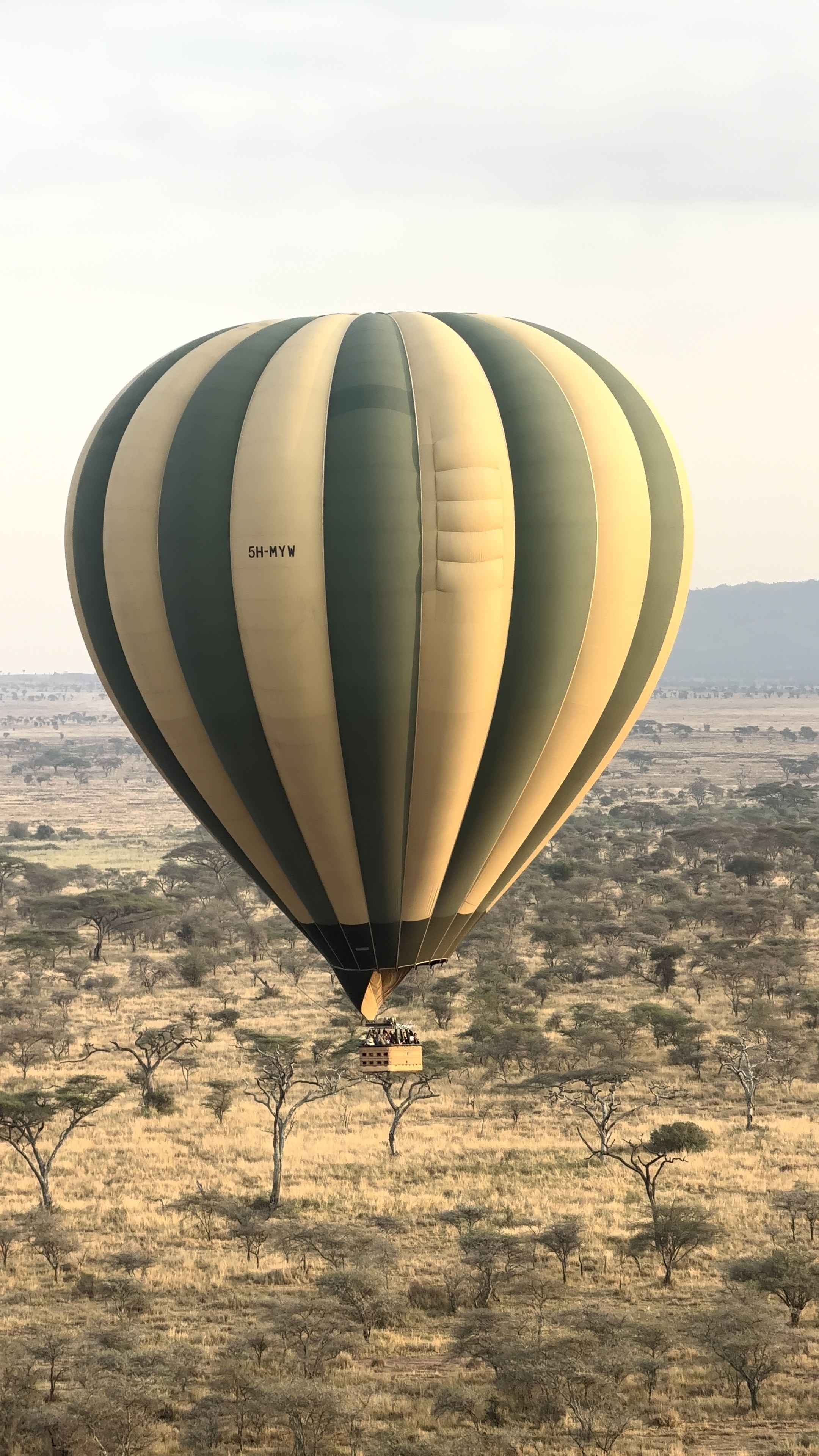 Serengeti Hot Air Balloon Safaris