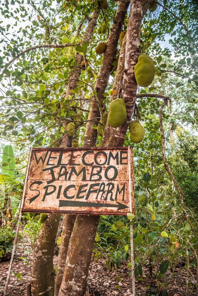 Organic Spice Farm Tour