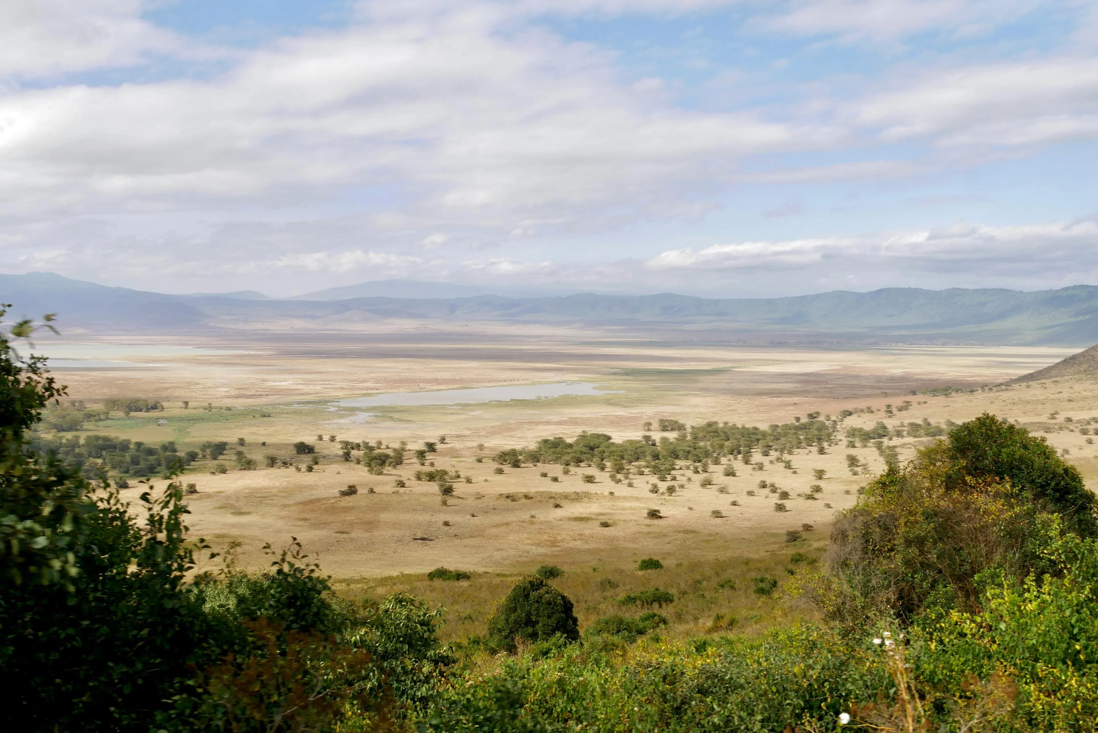 Ngorongoro Explorer
